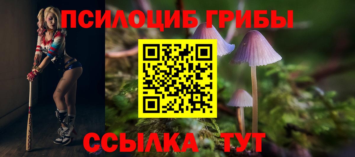 Йошкар-Ола  Псилоцибиновые грибы GOLDEN TEACHER  Вход с VPN 
